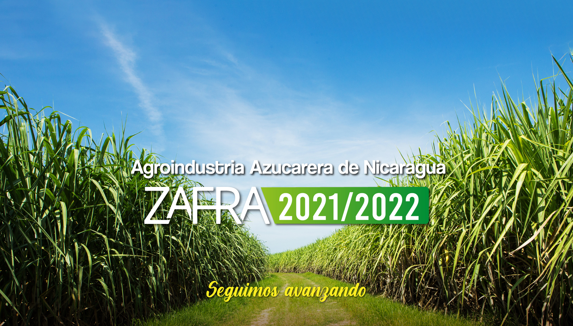 Inicio-Zafra-2021-2022_prueba